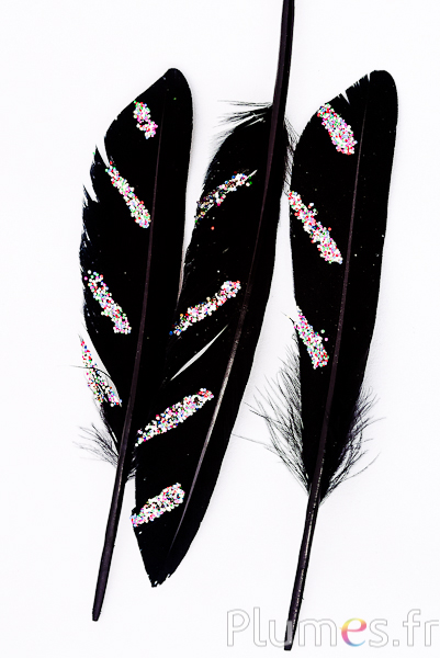 Oie Lame paillettes multicolore - 10-15 cm - noir